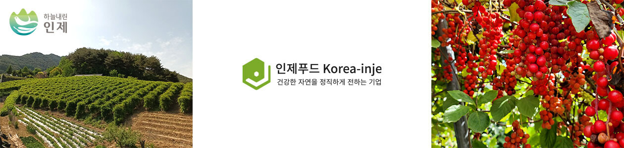 회사 이미지